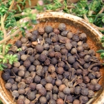 organic.cubeb.pepper.jpg