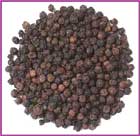 organic.tellichery.pepper.jpg