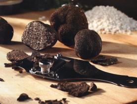 fresh.tuber.melanosporum.jpg